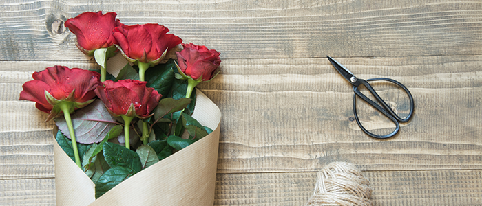 Roses on the floor with scissors