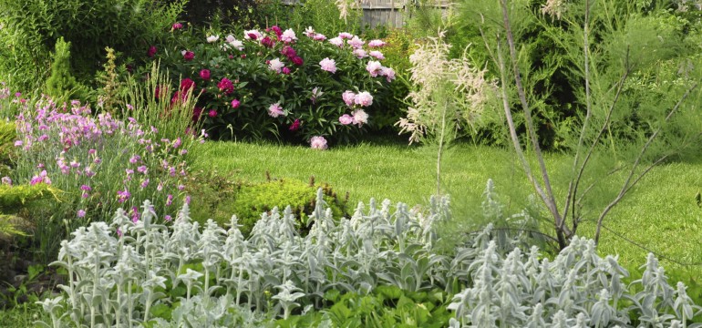 Spring wildlife garden