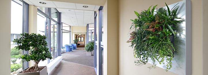 Office plant design
