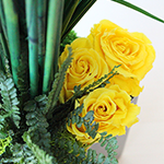 Artificial Plants