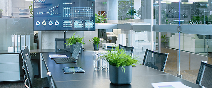 Office plants for biophilia