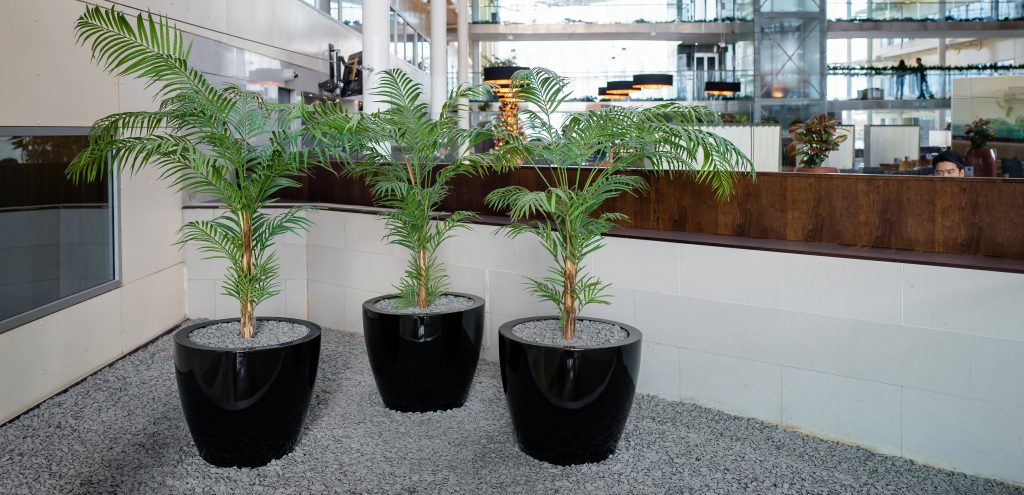 indoor-plants-office-plants-interior-plant-design-natural-flooring-biophilia