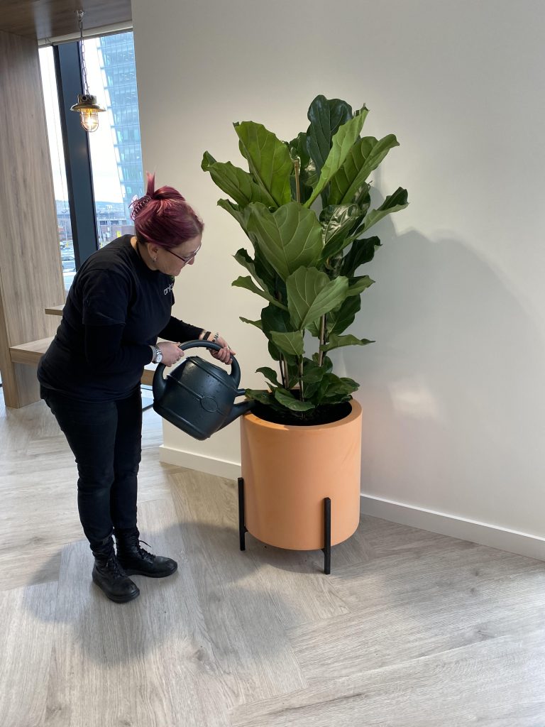 Woman watering an indoor plant