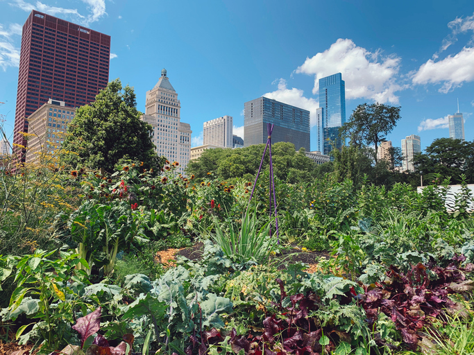 Urban Garden