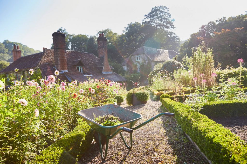 Garden filled with plants