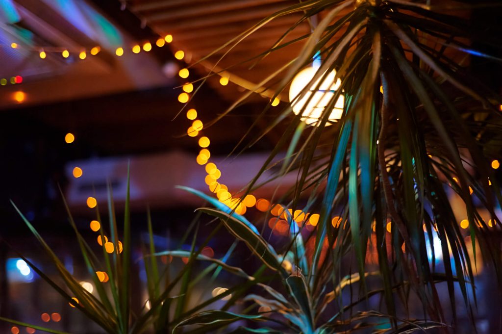 Indoor Plants In Restaurant Environment