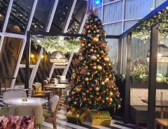 Christmas Tree Indoors