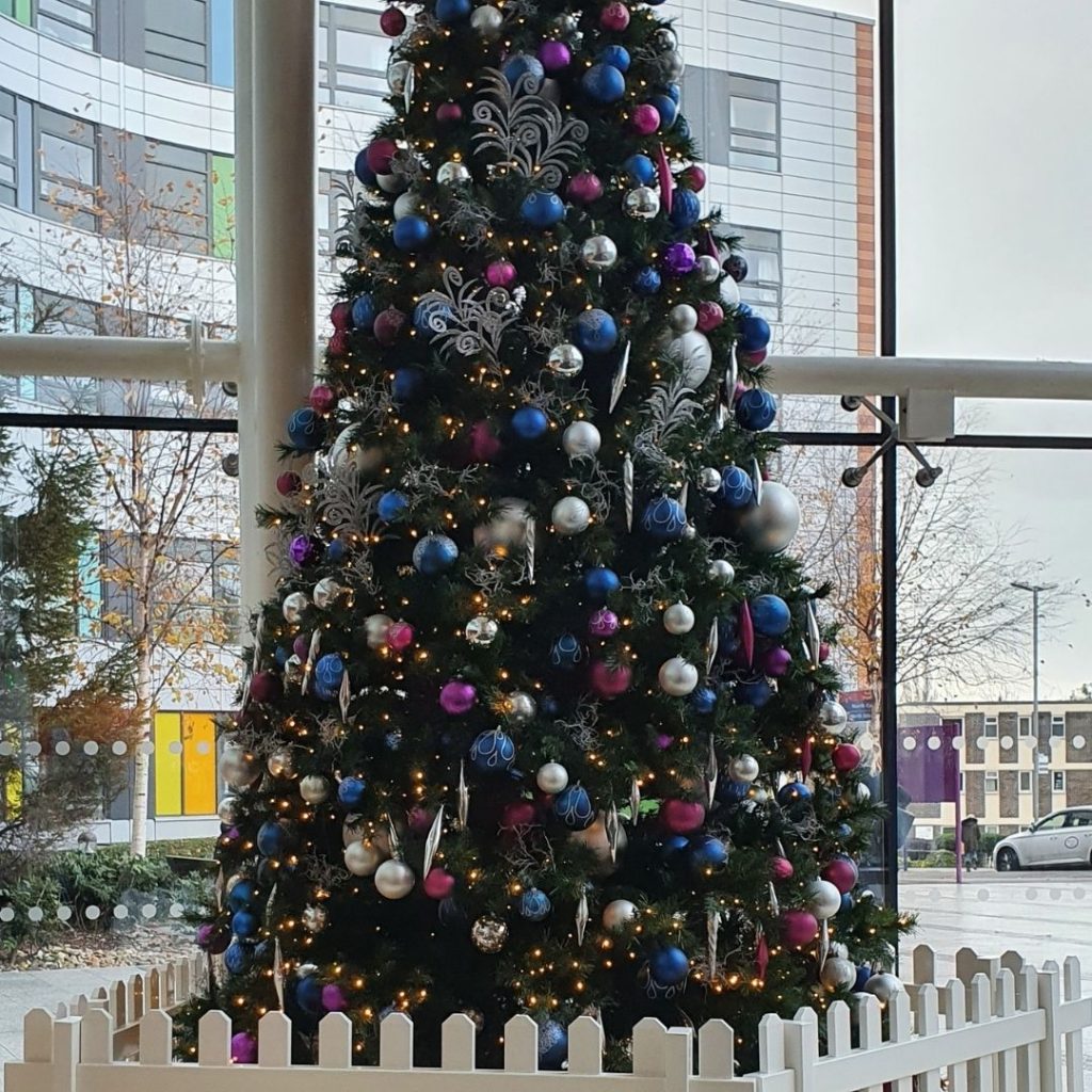 Ambius Silver Christmas Tree