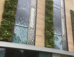 Living walls on the exterior of a commercial building.