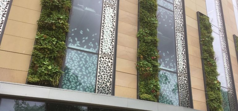 Living walls on the exterior of a commercial building.