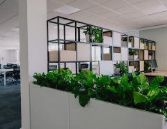 Modern open-plan office with desks, chairs, and computers.