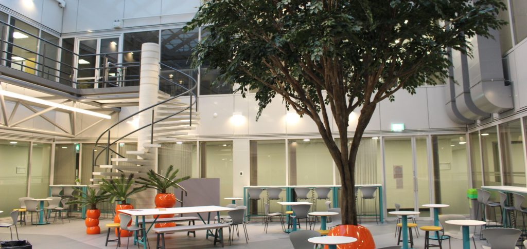 A modern indoor space with glass walls, a large artificial tree, colourful chairs and tables, and a spiral staircase leading to an upper level with more glass-walled rooms.