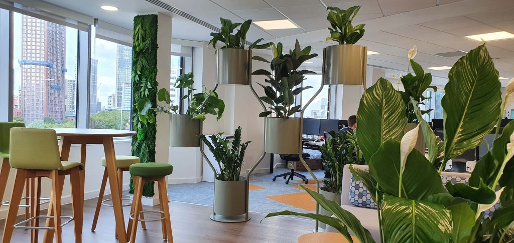 An office space with large windows, green stools around a high table, and potted plants, including hanging planters, creating a fresh and inviting atmosphere.