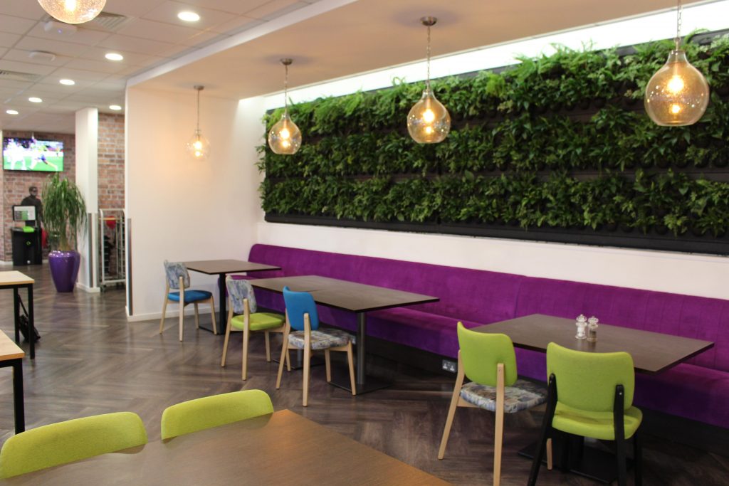 An interior green wall inside of a commercial business to improve the working environment.