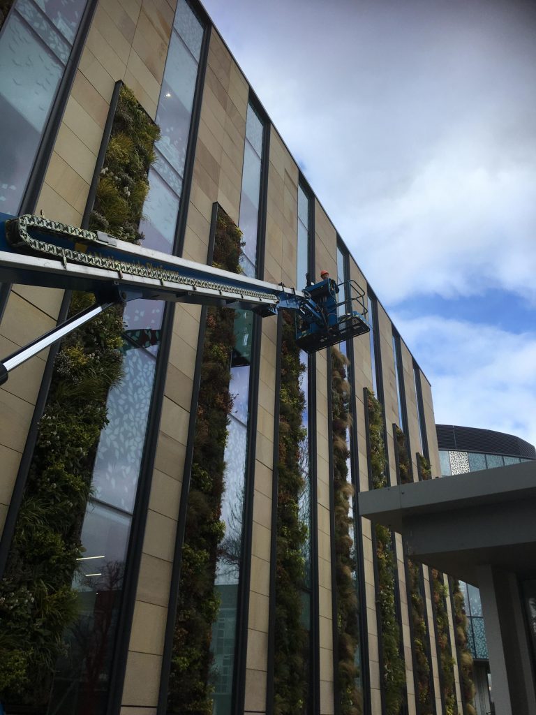 A living wall being installed by a technician for the exterior of a business.