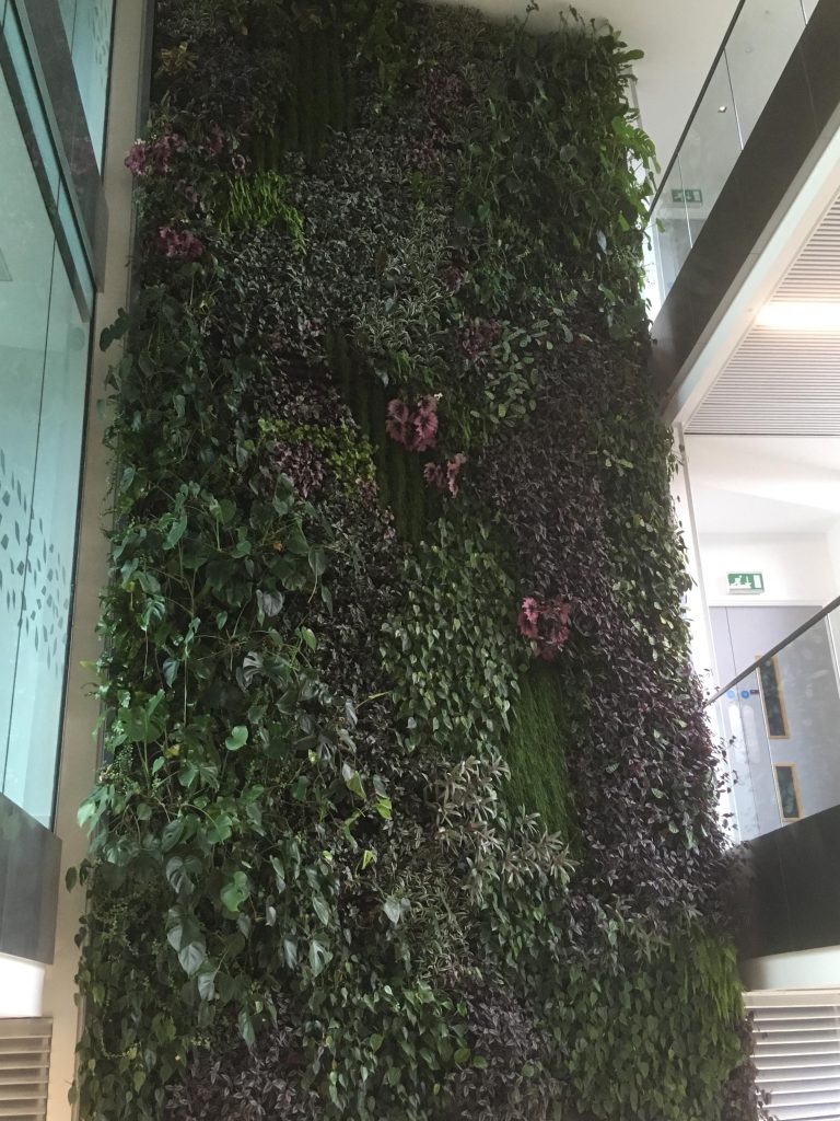 Indoor living wall inside of a business location.